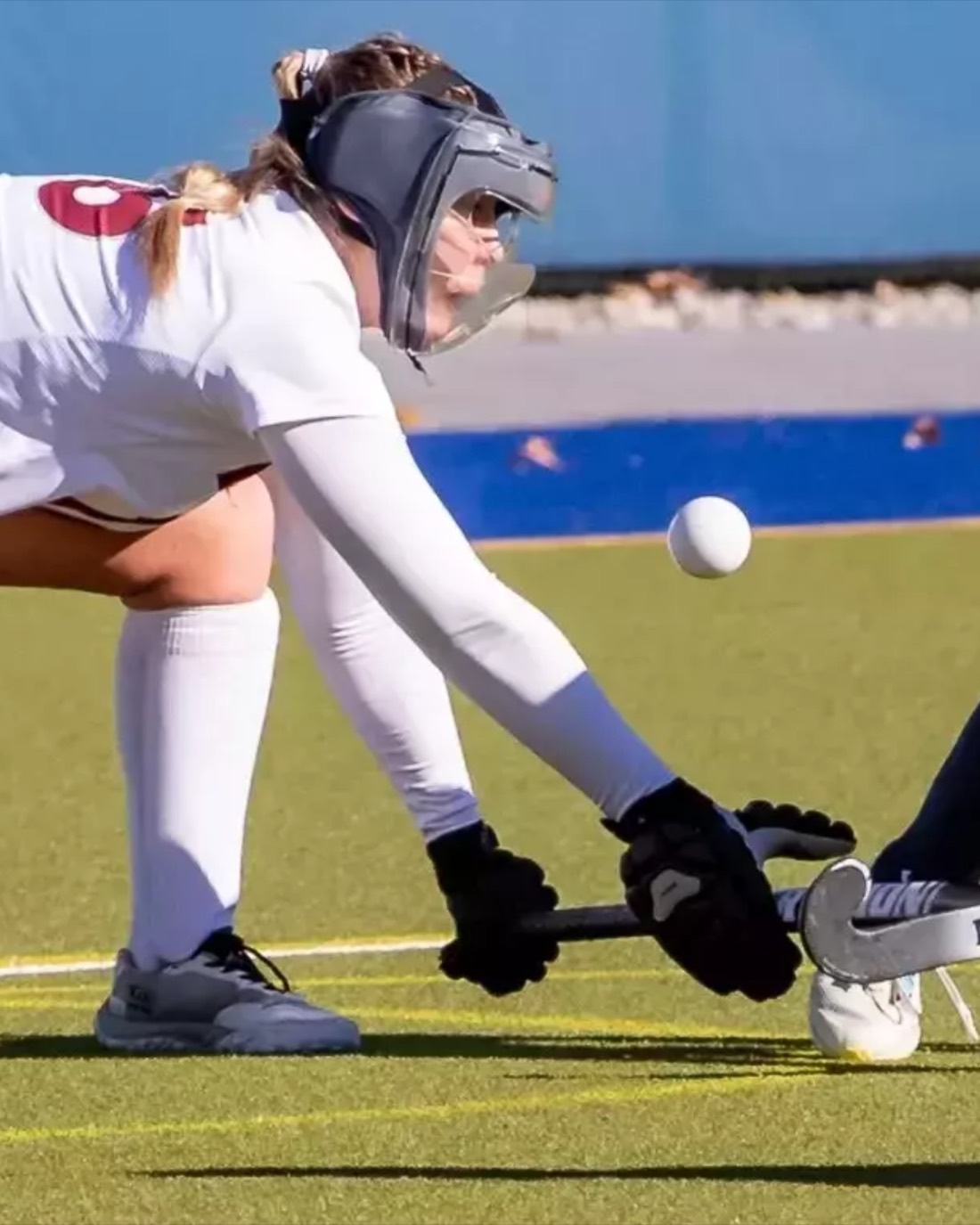 Scholars of Distinction